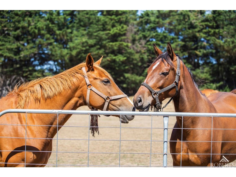 75 Sam Pearsons Road, Garvoc VIC 3265