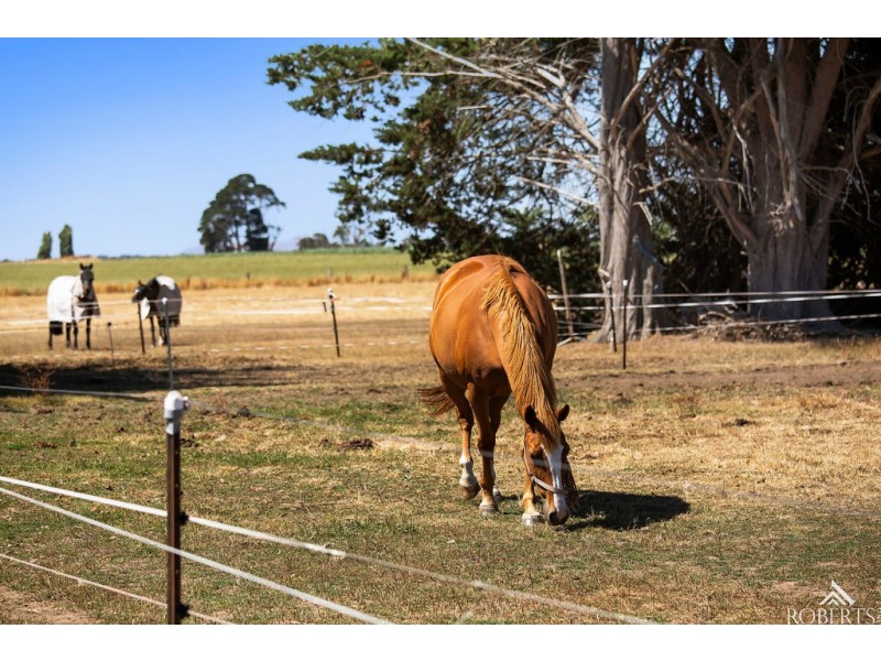 75 Sam Pearsons Road, Garvoc VIC 3265