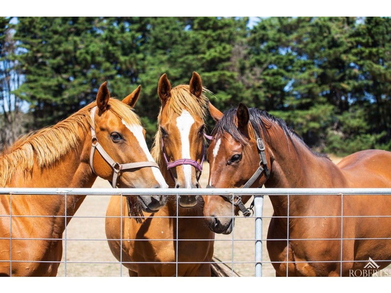 75 Sam Pearsons Road, Garvoc VIC 3265