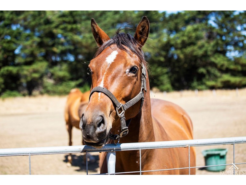 75 Sam Pearsons Road, Garvoc VIC 3265