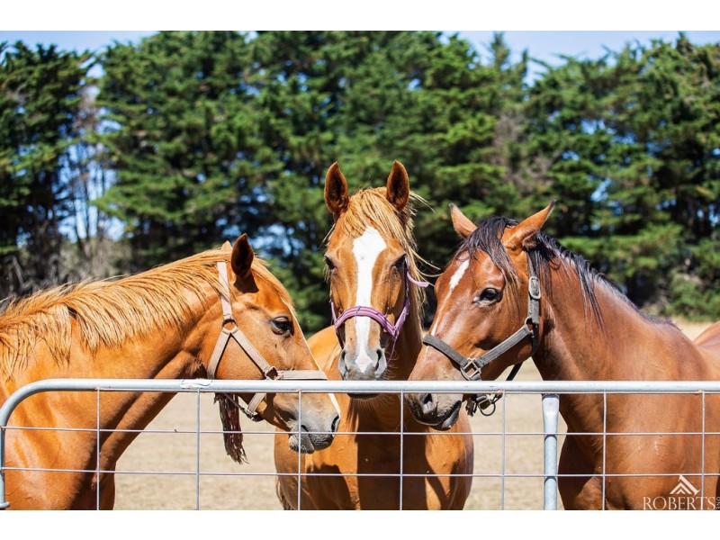 75 Sam Pearsons Road, Garvoc VIC 3265