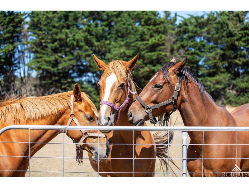 75 Sam Pearsons Road, Garvoc VIC 3265