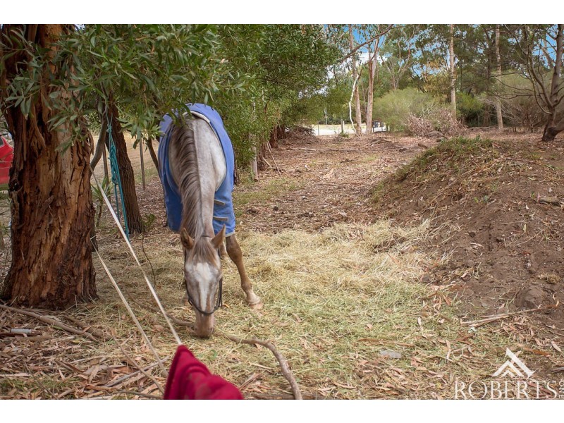 14 Jackson Street, Kirkstall VIC 3283