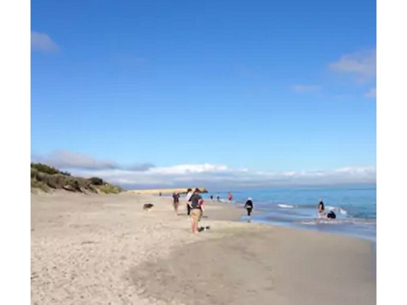 4/14 Boyd Crescent, Hamilton Hill WA 6163