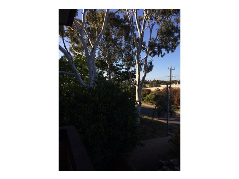 5/41 Davilak Avenue, Hamilton Hill WA 6163