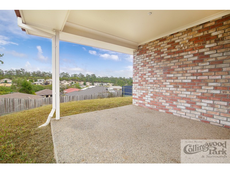 17 Skinner Street, Collingwood Park QLD 4301