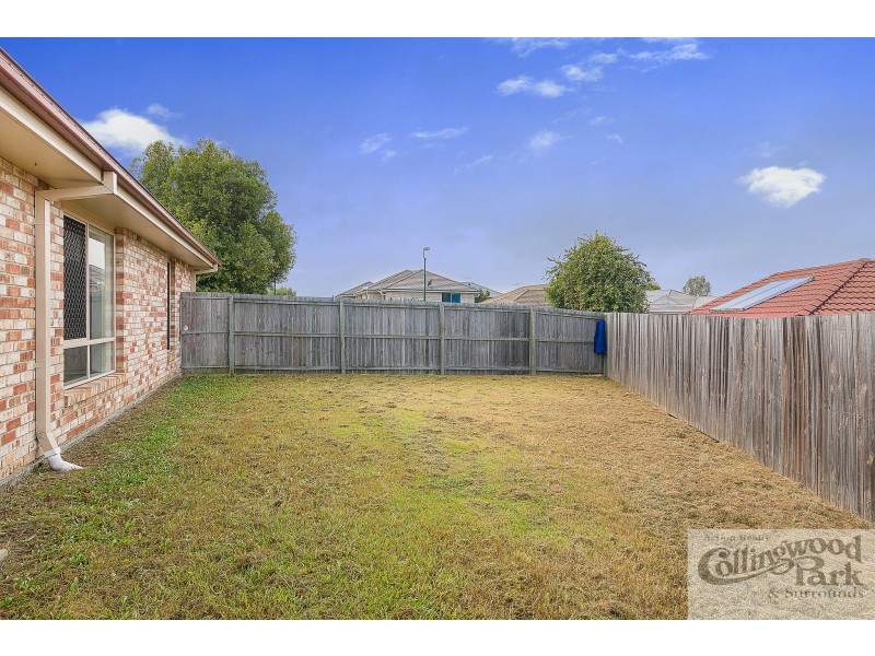 17 Skinner Street, Collingwood Park QLD 4301