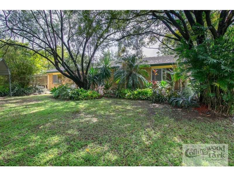 19 ALAWOONA STREET, Redbank Plains QLD 4301