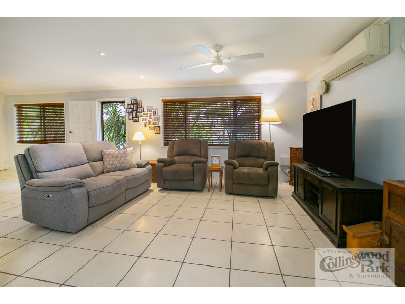 19 ALAWOONA STREET, Redbank Plains QLD 4301