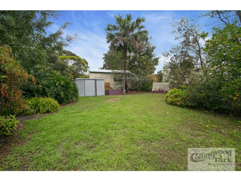 19 ALAWOONA STREET, Redbank Plains QLD 4301