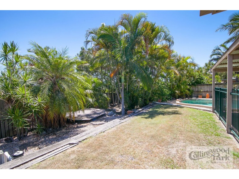 7 Dawson Court, Collingwood Park QLD 4301