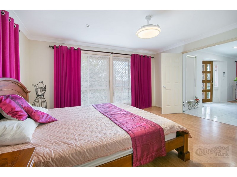 39 Paul Tully Avenue, Collingwood Park QLD 4301