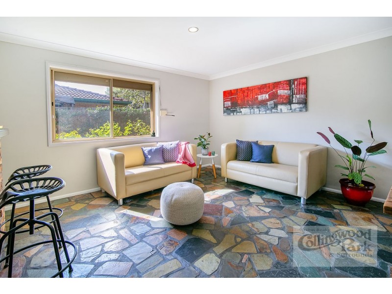 10 HANLON COURT, Collingwood Park QLD 4301