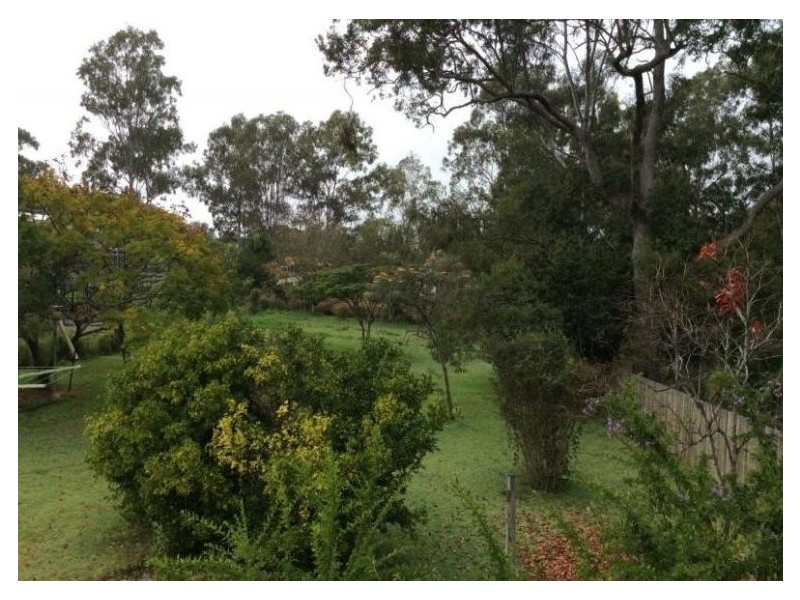 38 Ipswich Street, Riverview QLD 4303