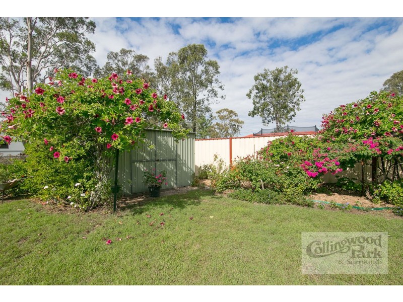 22 STRACHAN COURT, Collingwood Park QLD 4301