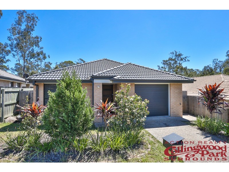 43 McCorry Drive, Collingwood Park QLD 4301