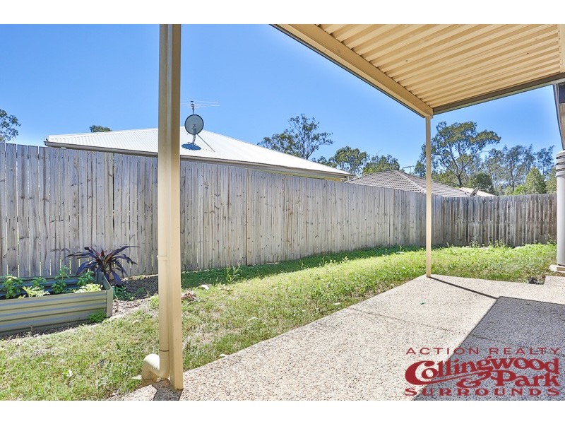 43 McCorry Drive, Collingwood Park QLD 4301