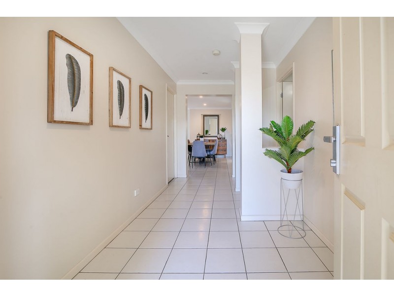 25 Higgins Street, Collingwood Park QLD 4301