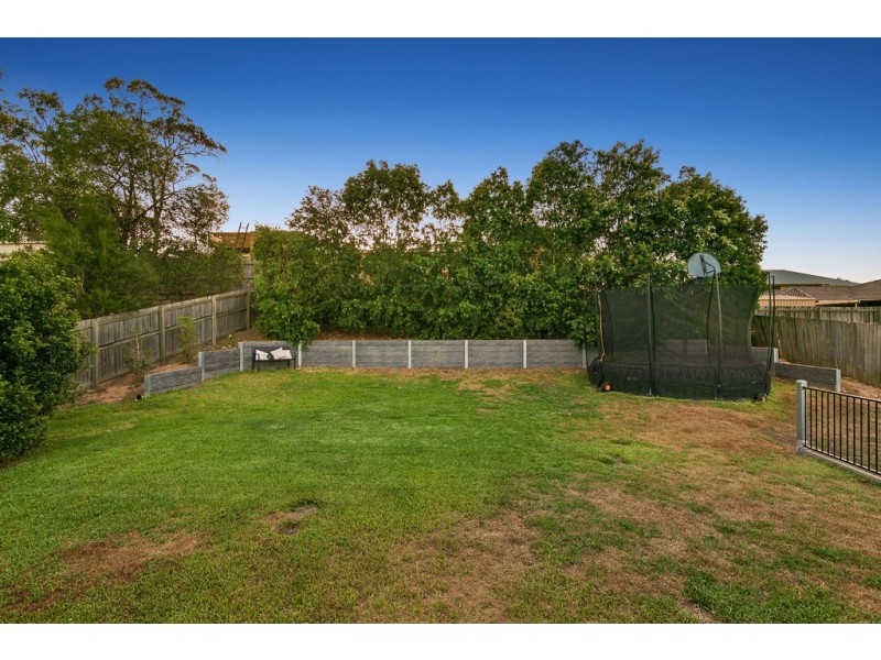 33 Bassili Drive, Collingwood Park QLD 4301