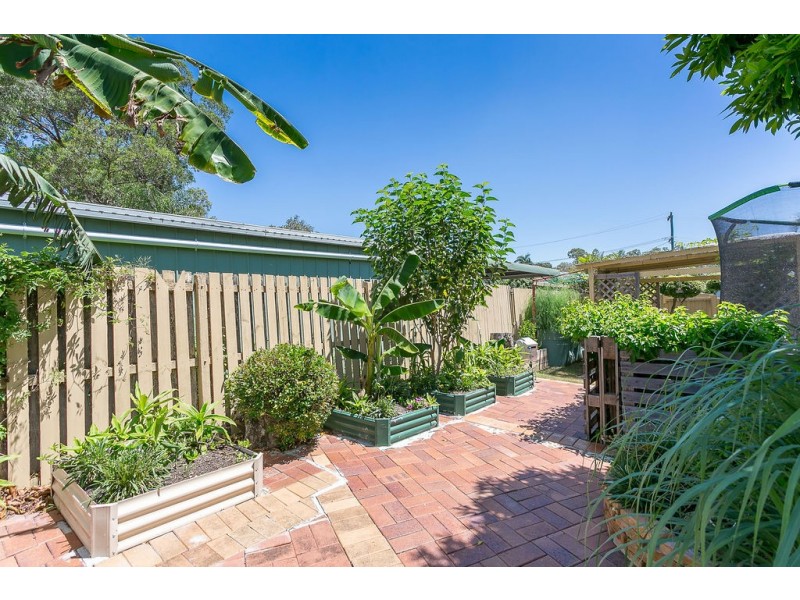 4 PAUL TULLY AVENUE, Collingwood Park QLD 4301