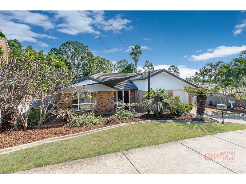 19 Paul Tully Avenue, Collingwood Park QLD 4301
