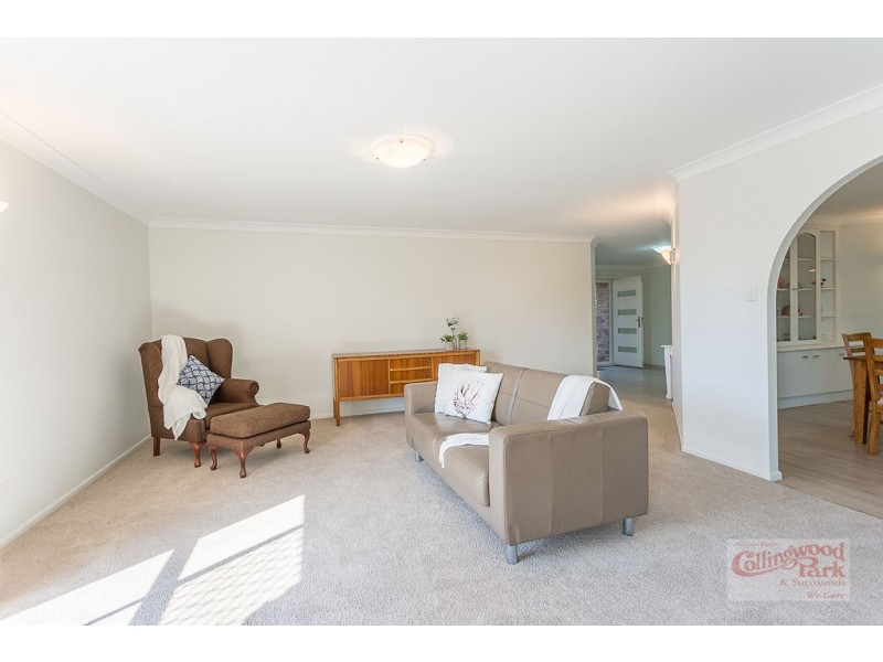 19 Paul Tully Avenue, Collingwood Park QLD 4301
