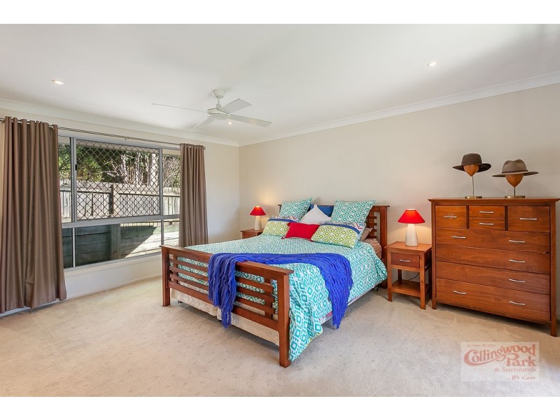 19 Paul Tully Avenue, Collingwood Park QLD 4301
