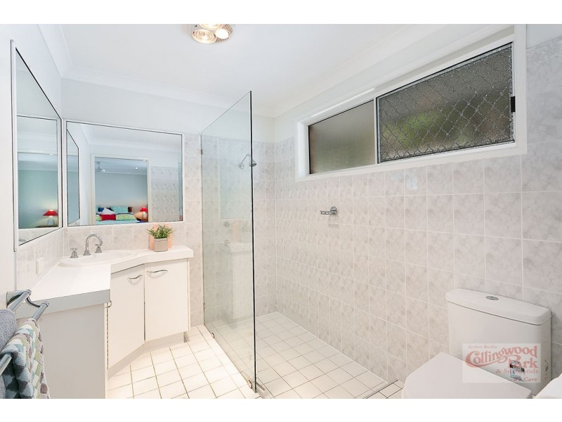 19 Paul Tully Avenue, Collingwood Park QLD 4301