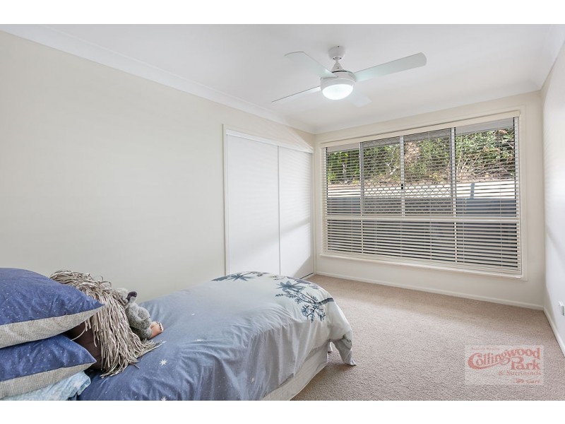 19 Paul Tully Avenue, Collingwood Park QLD 4301