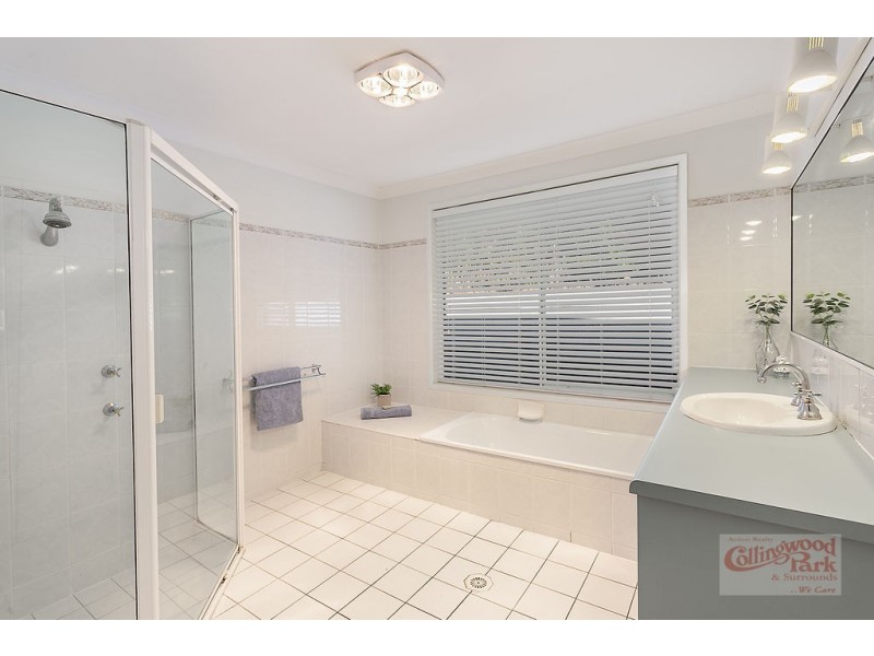 19 Paul Tully Avenue, Collingwood Park QLD 4301