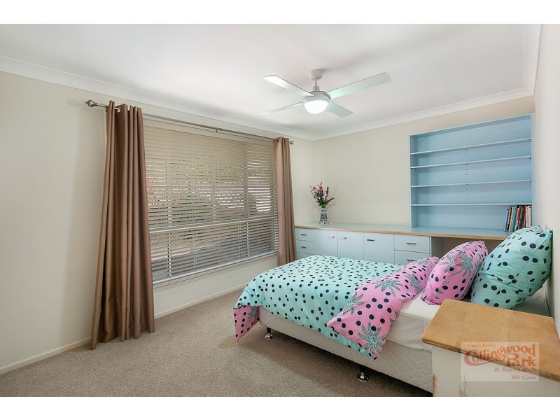 19 Paul Tully Avenue, Collingwood Park QLD 4301