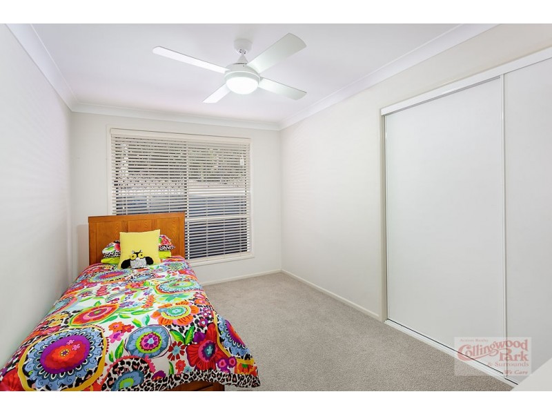 19 Paul Tully Avenue, Collingwood Park QLD 4301