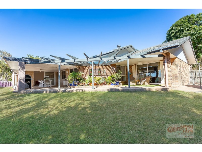 19 Paul Tully Avenue, Collingwood Park QLD 4301