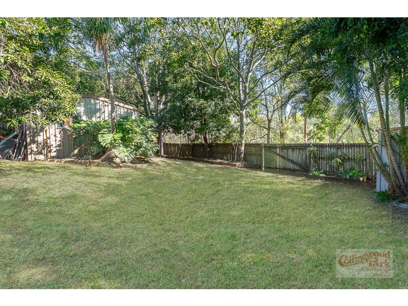 19 Paul Tully Avenue, Collingwood Park QLD 4301