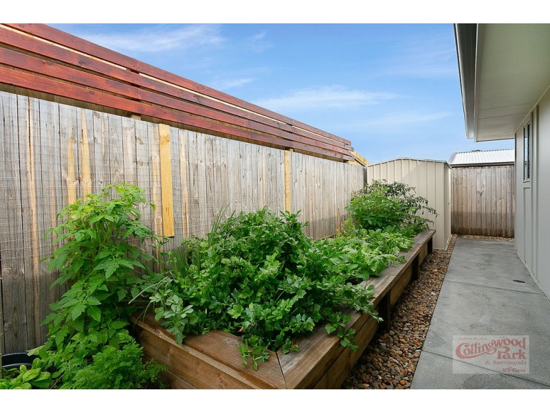 11 Cooper Drive, Collingwood Park QLD 4301