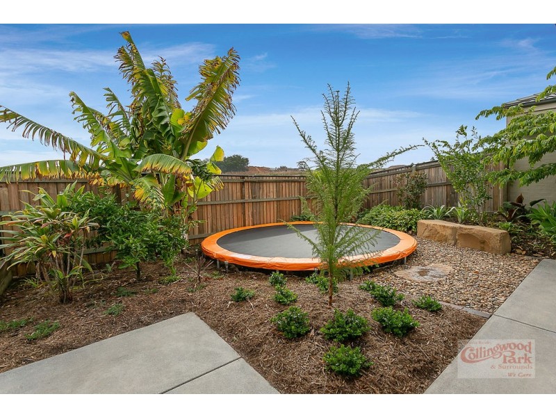 11 Cooper Drive, Collingwood Park QLD 4301