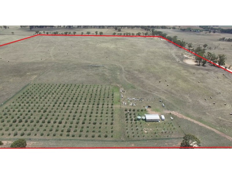 Chamberlain’s Road, Inglewood VIC 3517