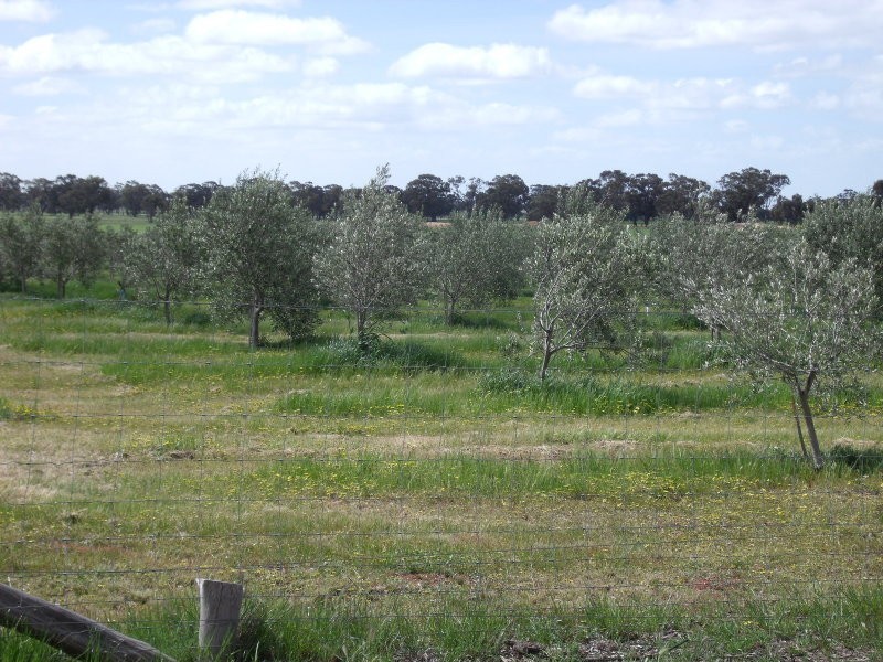 Chamberlain’s Road, Inglewood VIC 3517