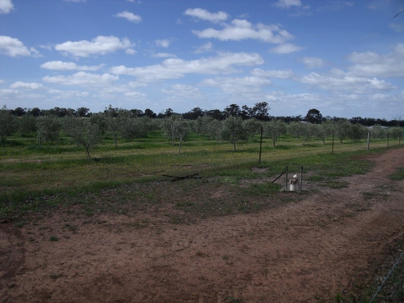 Chamberlain’s Road, Inglewood VIC 3517