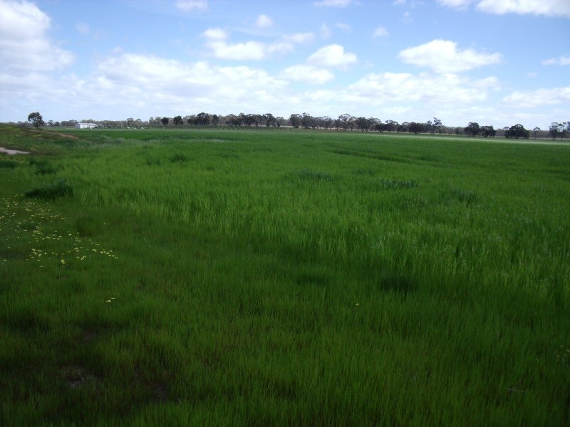 Chamberlain’s Road, Inglewood VIC 3517