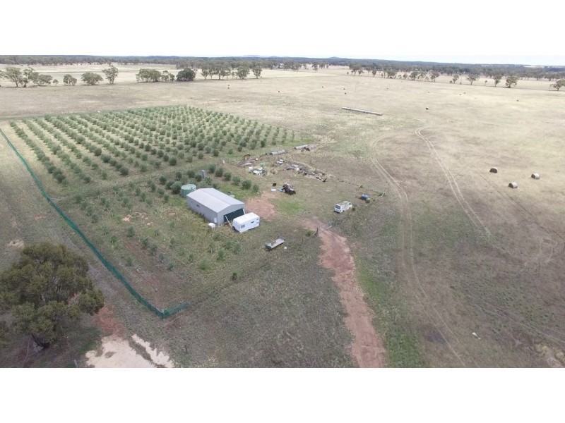 Chamberlain’s Road, Inglewood VIC 3517