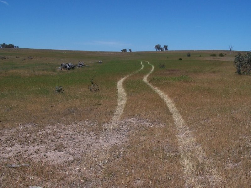 Old Canfields Road, Korong Vale VIC 3520