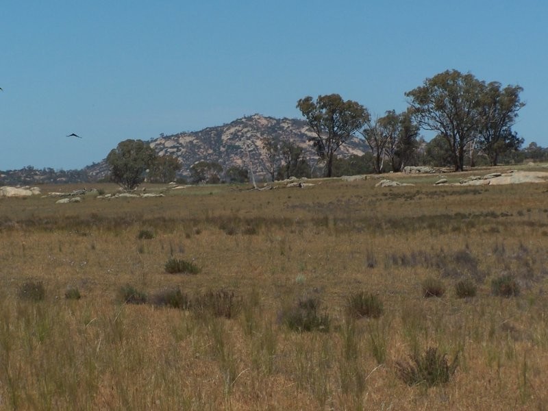 Old Canfields Road, Korong Vale VIC 3520