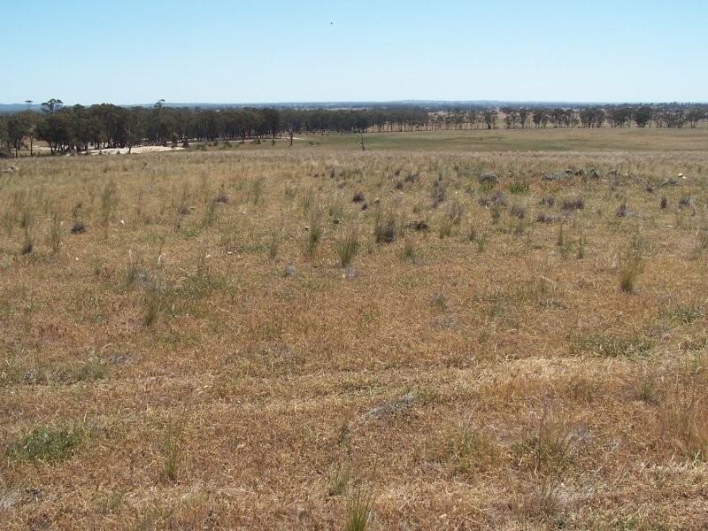 Old Canfields Road, Korong Vale VIC 3520