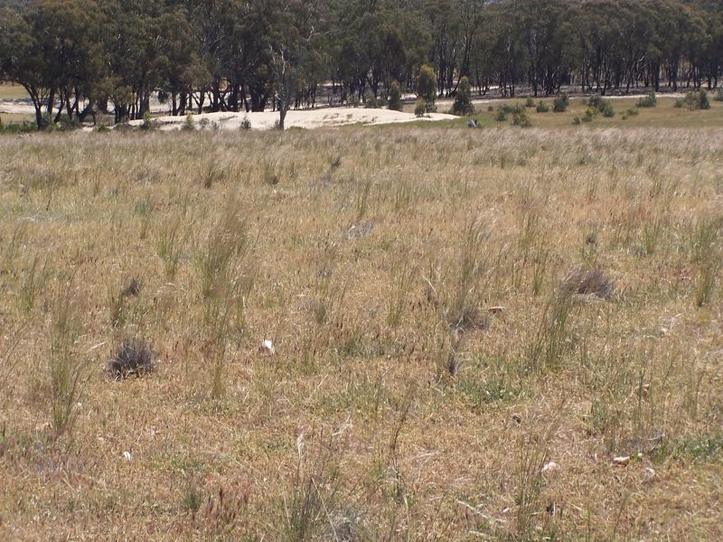 Old Canfields Road, Korong Vale VIC 3520