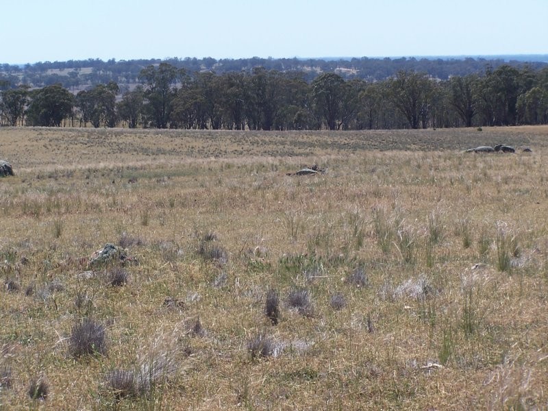 Old Canfields Road, Korong Vale VIC 3520