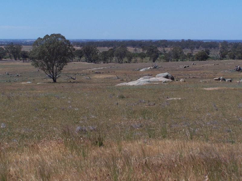 Old Canfields Road, Korong Vale VIC 3520