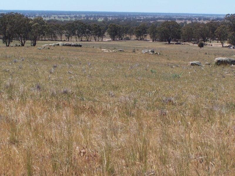 Old Canfields Road, Korong Vale VIC 3520