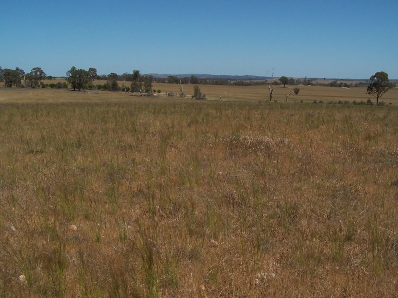 Old Canfields Road, Korong Vale VIC 3520