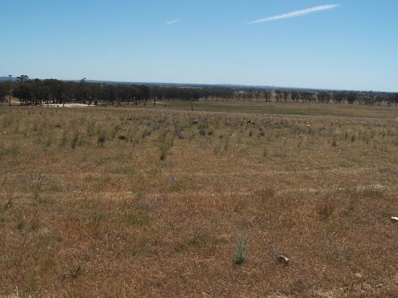 Old Canfields Road, Korong Vale VIC 3520